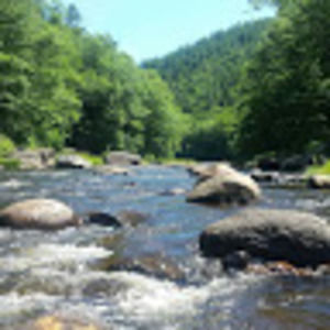 Meet your Posher, Adam